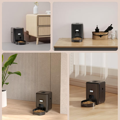 Automatic Feeder