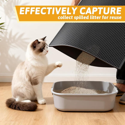 Double-Layer Cat Litter Trap Mat