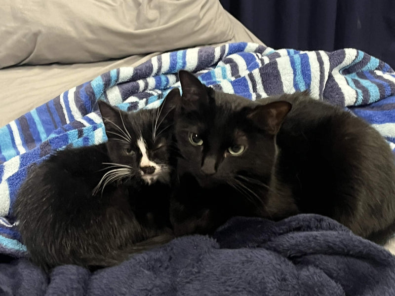 Customer pet photo